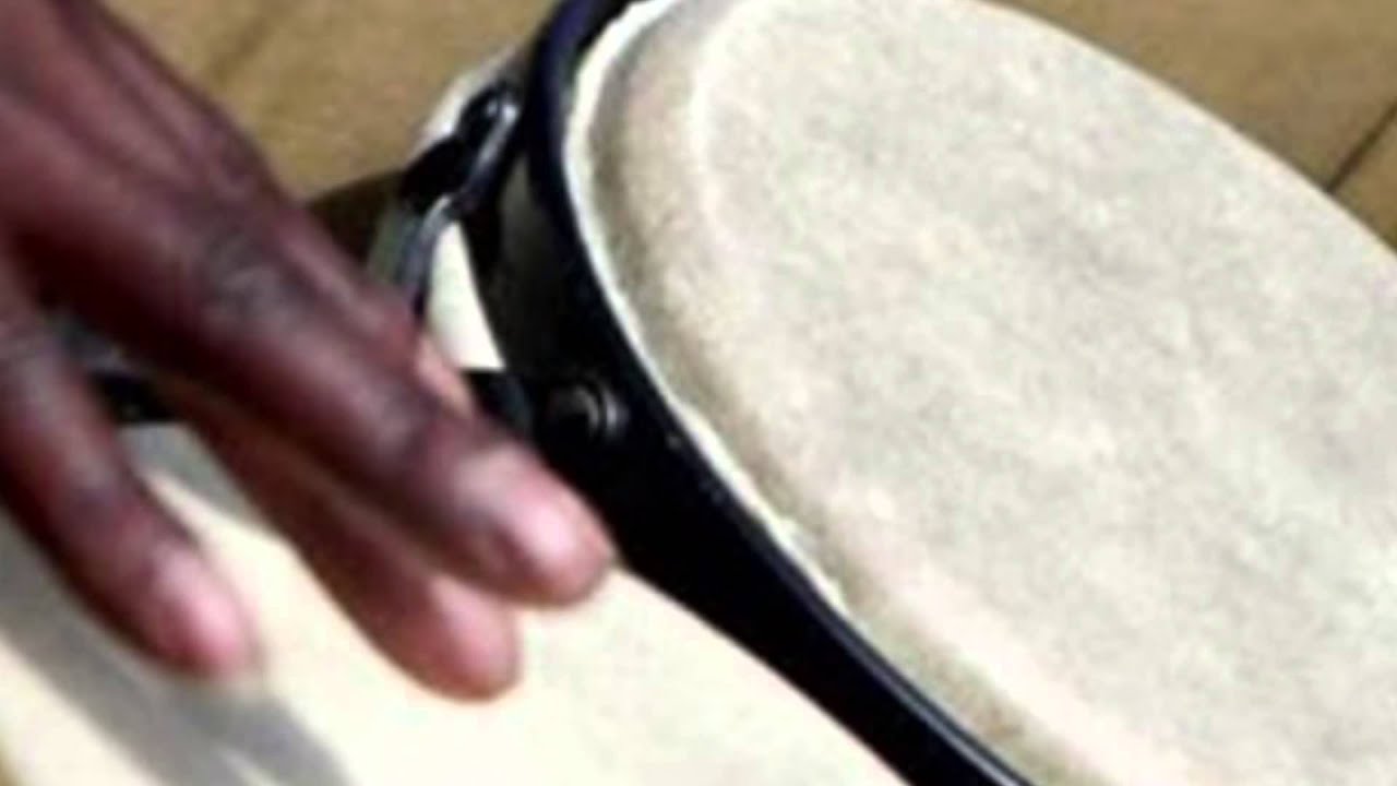 Bongo Solo Loop # 2 (Training with Cachao)