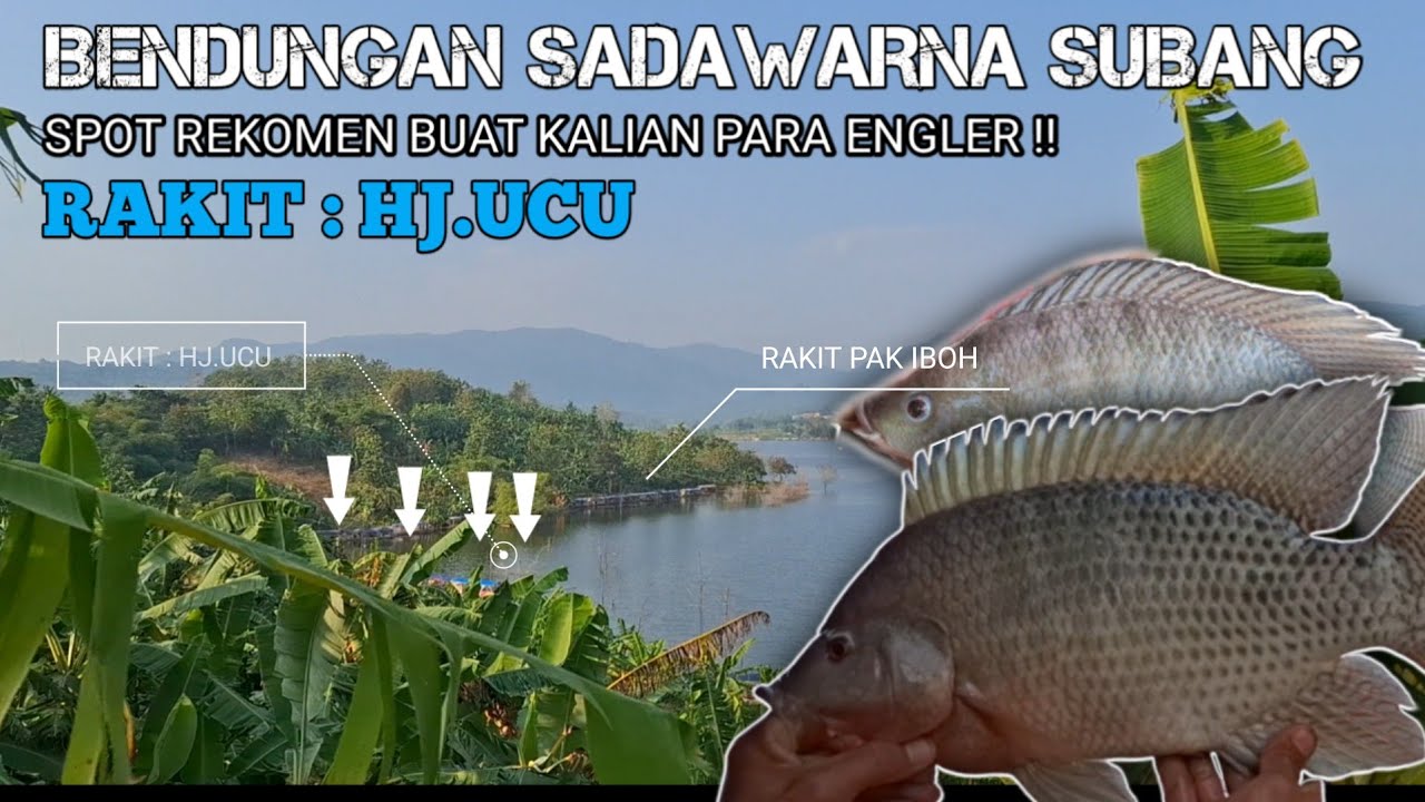SPOT BAPAK, HJ .UCU || IKAN BABONYA BUKAN MAIN BESAR-BESAR !! SALING BALAS STREK  !!
