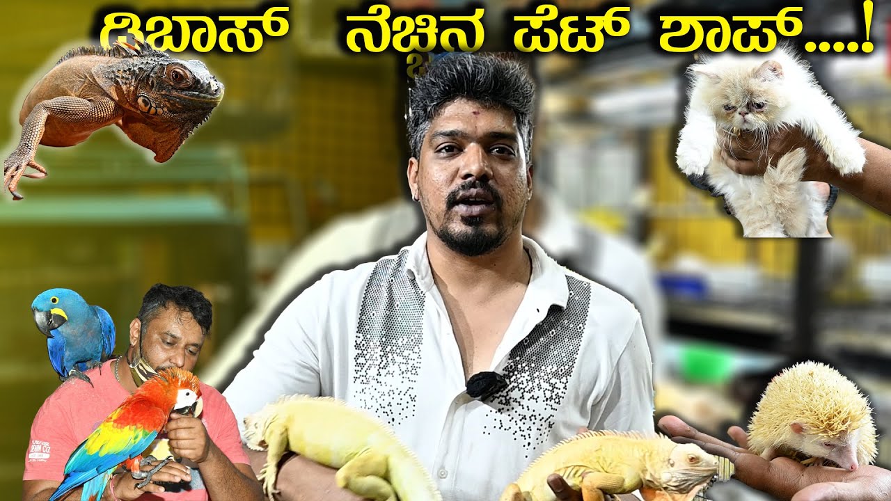 Best Pet Shop & Aquarium Store In Bangalore 