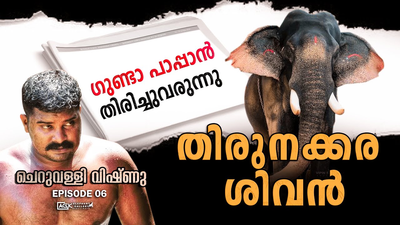 കണക്ക്കൂട്ടലുകൾക്കും അപ്പുറം ആയിരുന്നു ശിവൻ എന്ന ആന | ചെറുവള്ളി വിഷ്ണു | EP 06