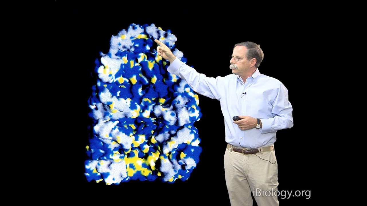 Arthur Horwich (Yale/HHMI) Part 1A: Chaperone-assisted protein folding