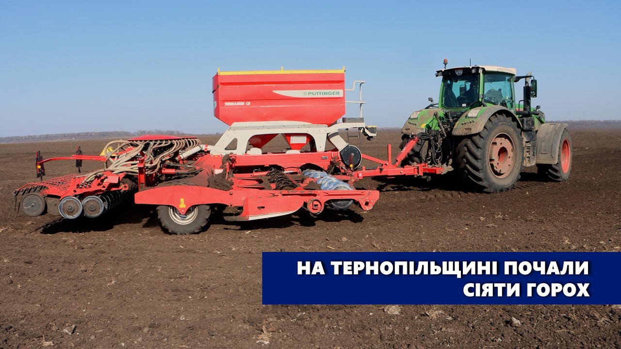 На Тернопільщині почали сіяти горох