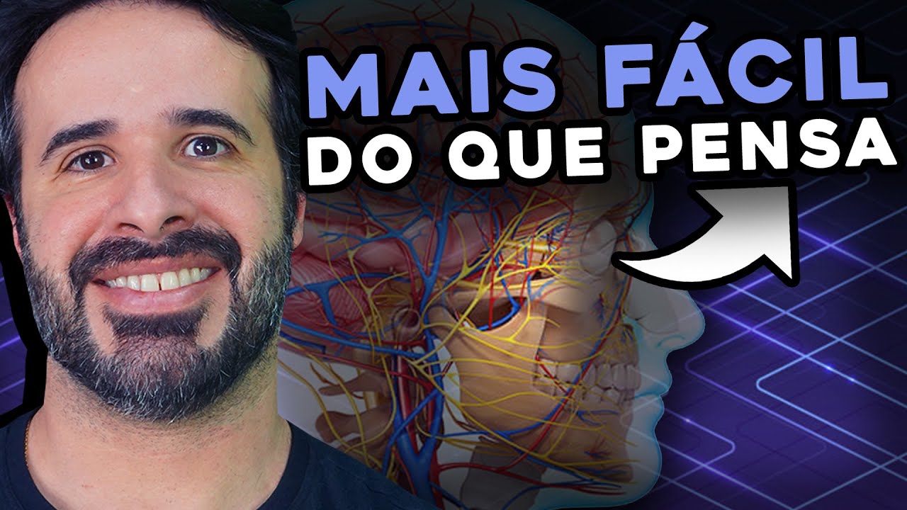 ENTENDER A INERVAÇÃO DOS MÚSCULOS DA EXPRESSÃO FACIAL É MAIS FÁCIL DO QUE VOCÊ PENSA!