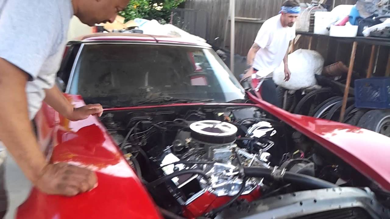 76 vette first start up