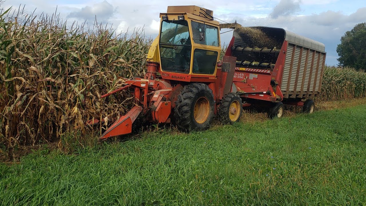 Opening Corn Fields With The Fox Chopper