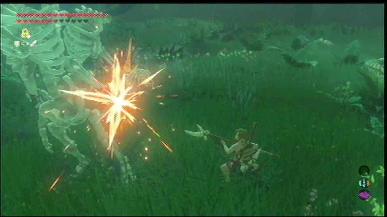 Breath of the Wild: Trial of the Sword - The Final Trials (No Commentary)