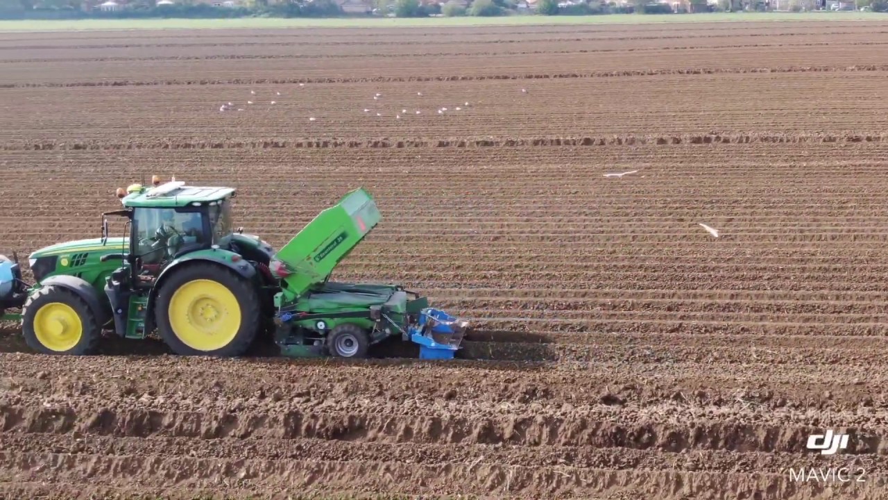 Potatoes planting  P.J.LEE 2020