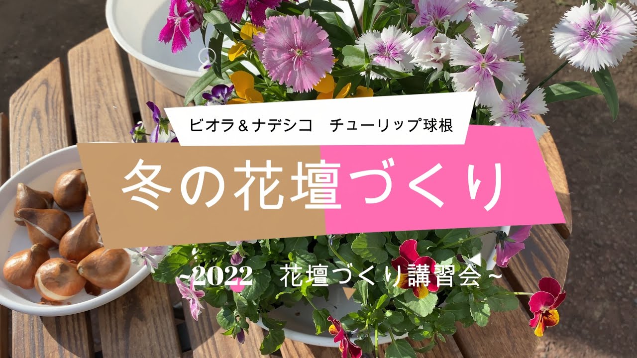 「冬の花壇づくり」～2022花壇づくり講習会～