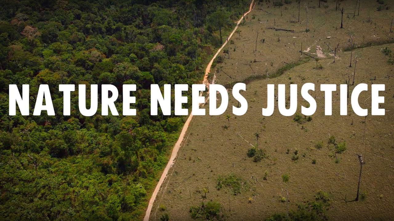 The Problem with Conservation | Extinction Rebellion DE