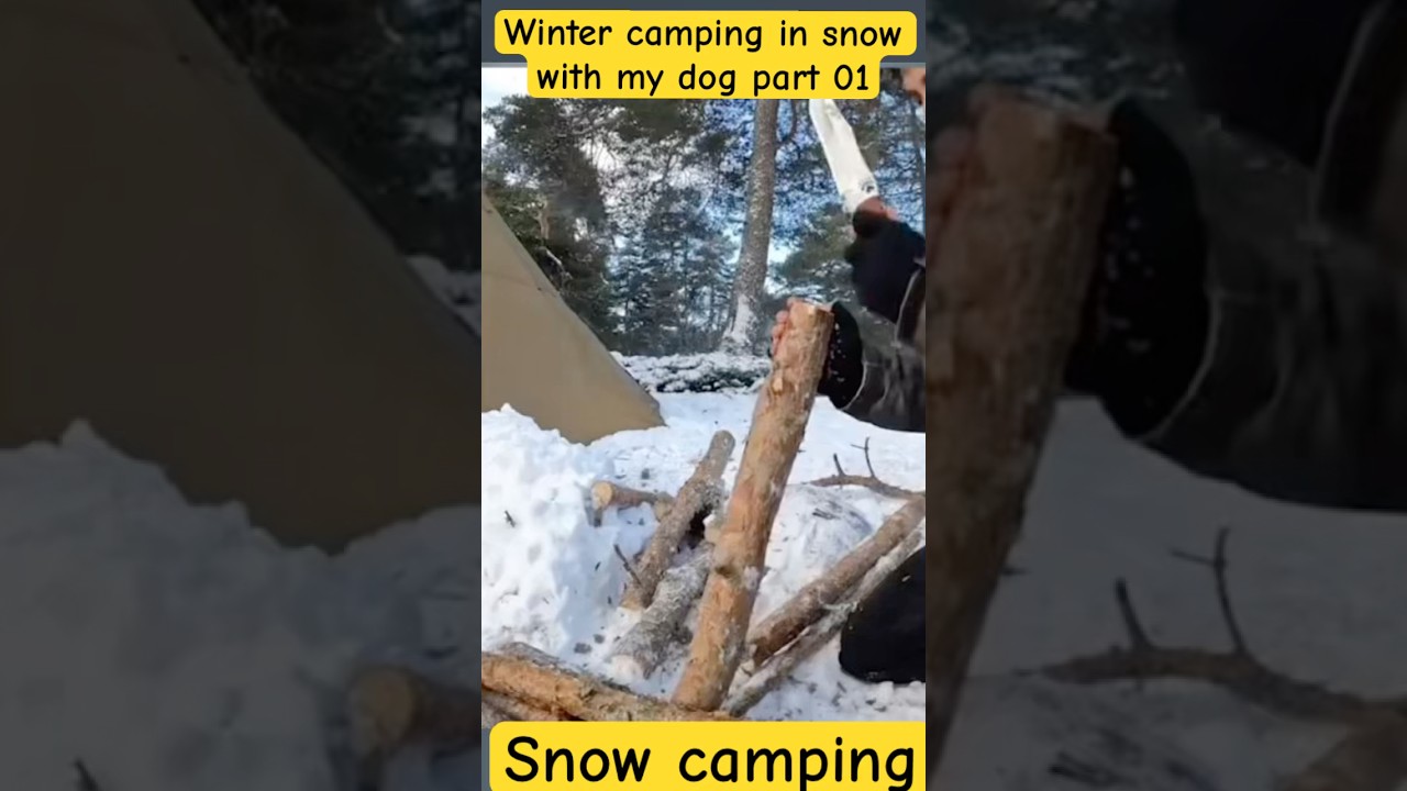 Winter camping in snow with my dog part 01