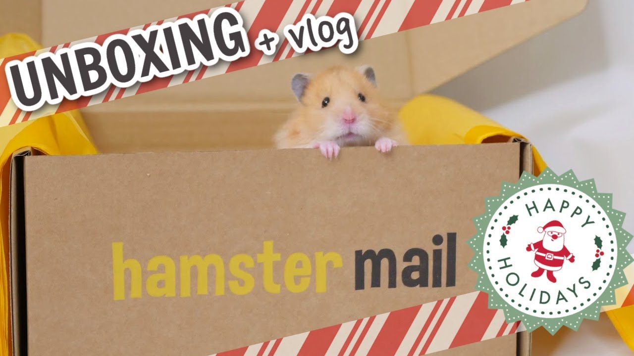 Hamster Mail Unboxing + vlog