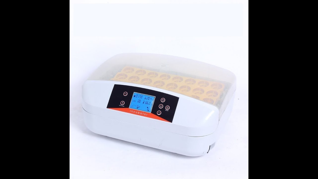 Couveuse automatique 56 oeufs