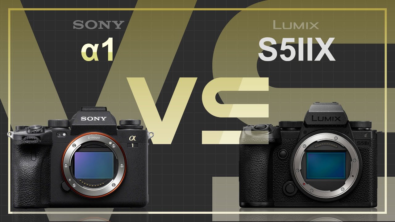Sony alpha a1 vs Panasonic Lumix S5IIX