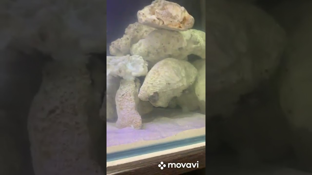 Запуск моря на СРК