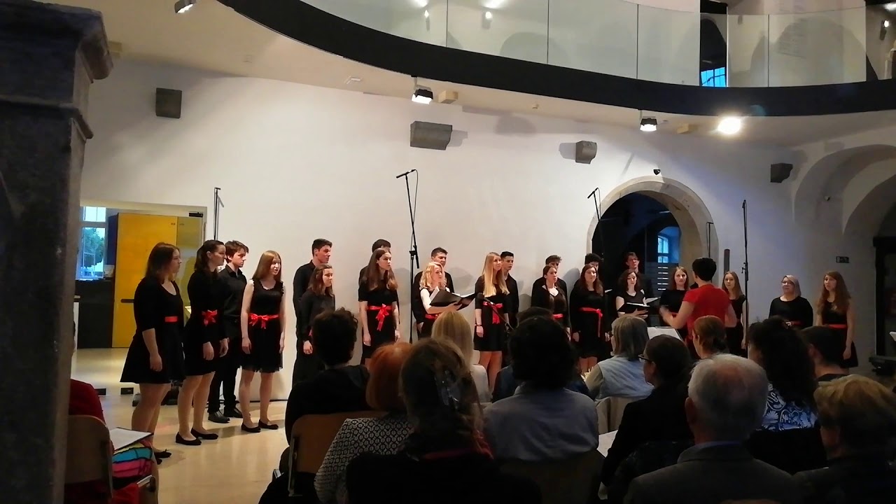 Howard Blake: WALKING IN THE AIR - Mešani mladinski pevski zbor Veter