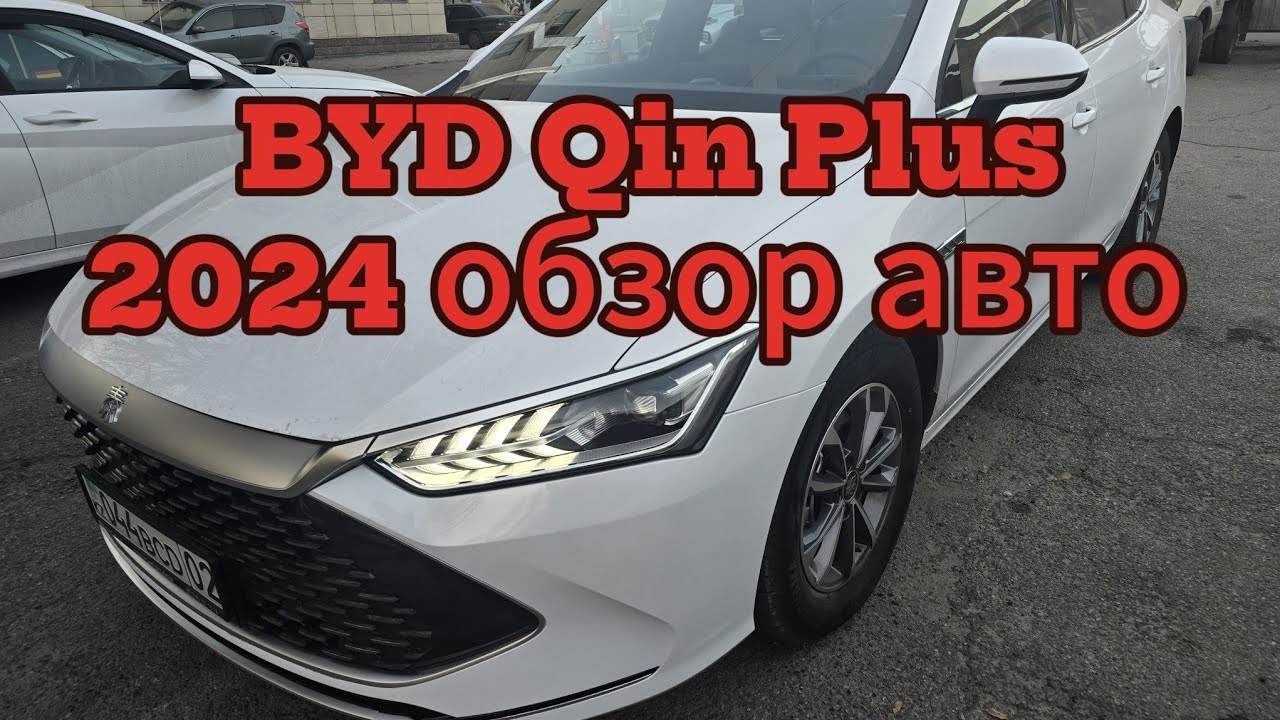 BYD QIN Plus 2024|Обзор на гибрид