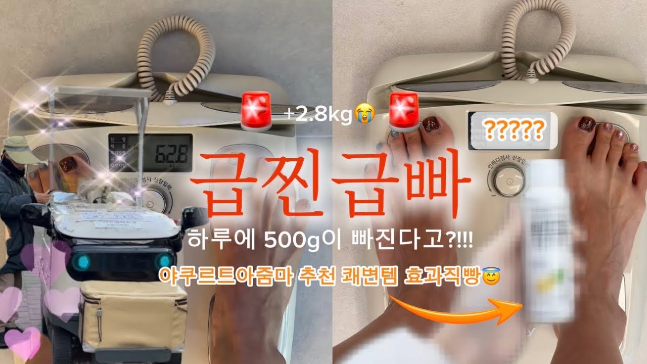 🚨급찐급빠🚨중 만난 야쿠르트아줌마 쾌변직빵템부터 ⭐️하루500g⭐️빠진방법까지 알차다알차👏🏻