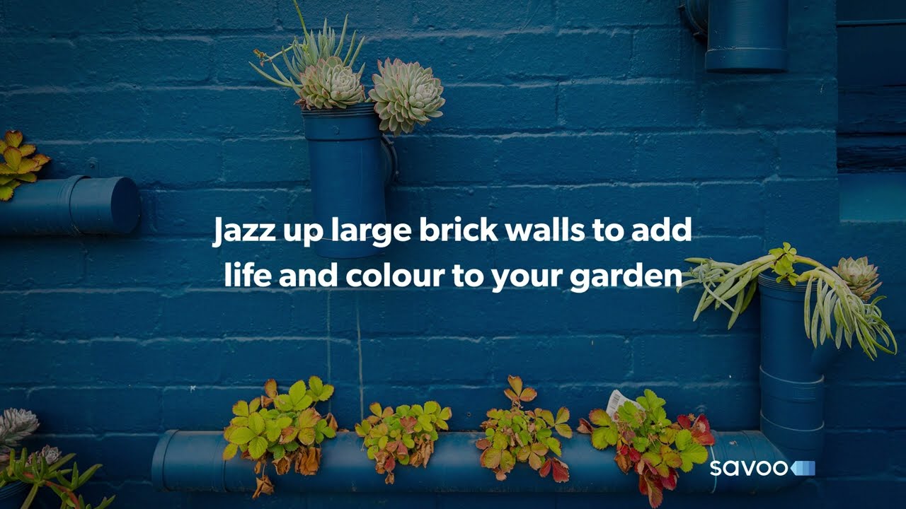 Cheap budget friendly garden ideas for large gardens