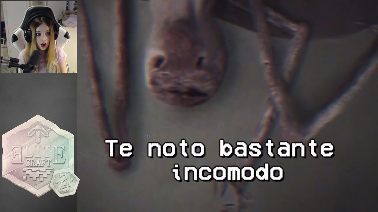 Mayichi ve la Prank final de Farfadox | Elitecraft 2 Fuera de contexto parte 14