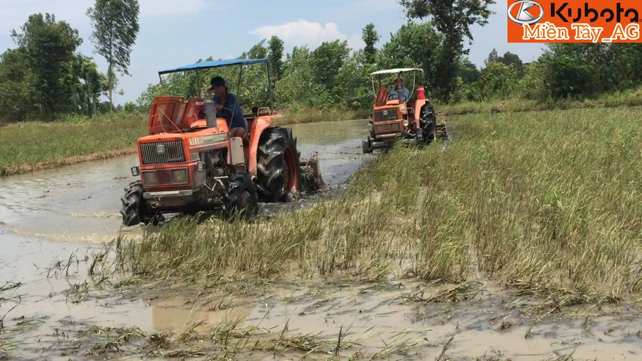 Hôm Nay Cho 2 Chiếc Máy Cày Kubota L2602 Ra Đồng Xới Đất Vùng Lúa Chét Của Mùa Nước Nổi!!