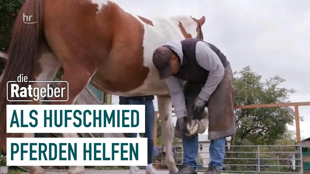 Der Hufschmied | Altes Handwerk in jungen Händen (2/5) | Die Ratgeber