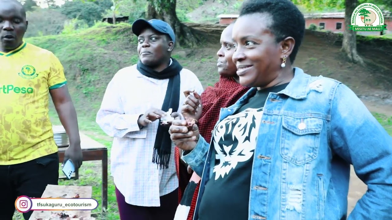 GairoDC Onlive TV: UTALII WA NDANI MISITU YA UKAGURU