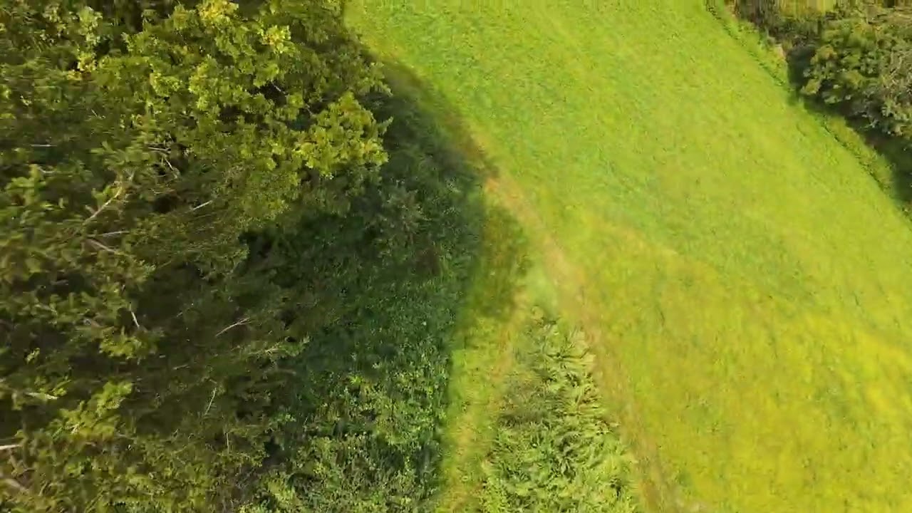 Cinematic Avata 2 FPV Flight