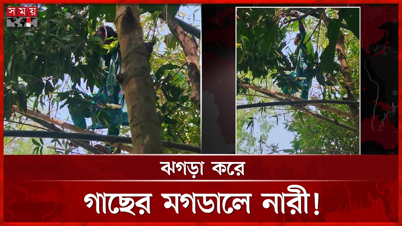 মা-ভাইয়ের সঙ্গে ঝগড়া করে গাছের মগডালে নারী | Gaibandha News | Viral Video | Somoy TV