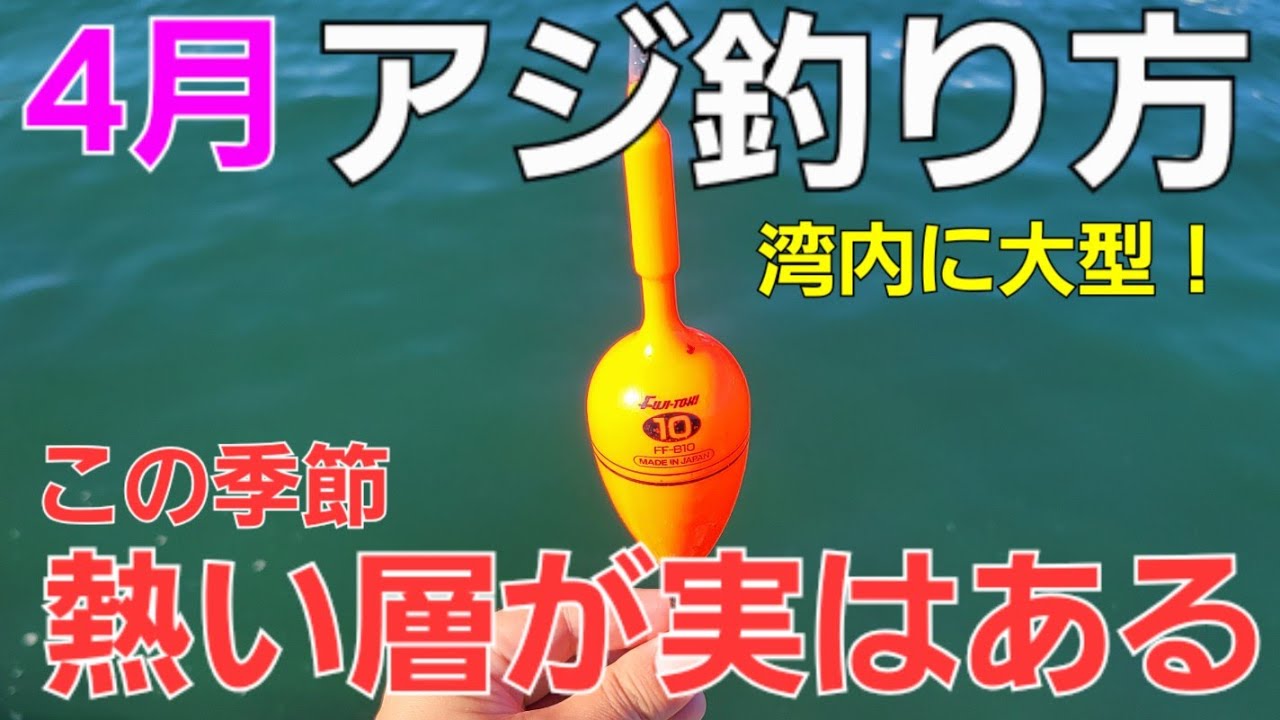 【アジ釣り】4月サビキ釣り。産卵絡みでデカアジが湾内に。但しアレを間違うと全く釣れない原因に&hellip;