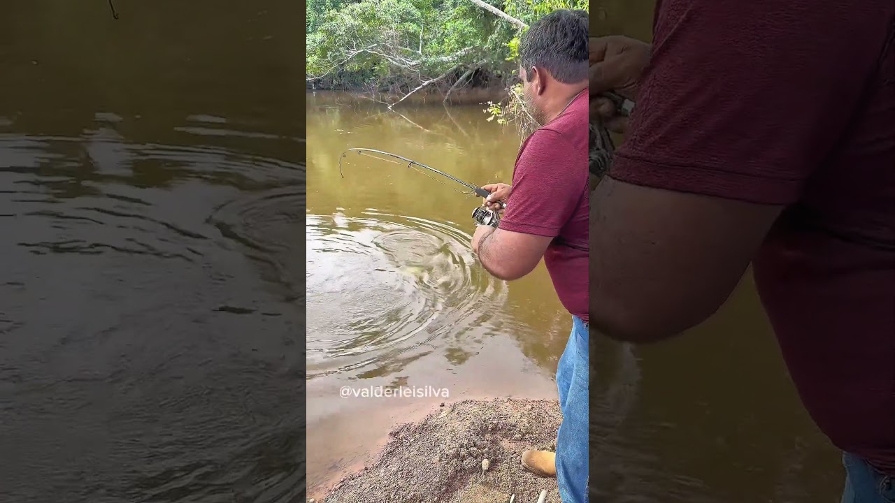 Pegamos uma tambatinga no Rio! #ro&ccedil;a #viral #pesca #peixe #fyp