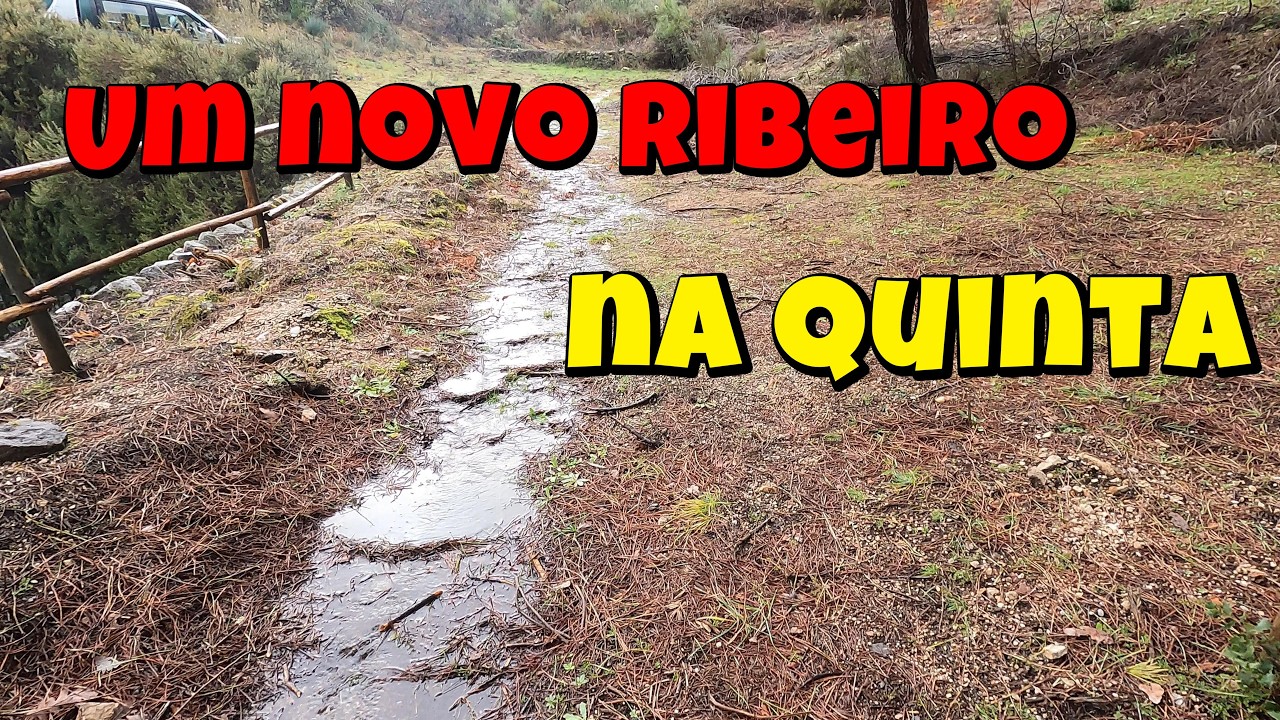 Um novo ribeiro na Quinta - O efeito da tempestade