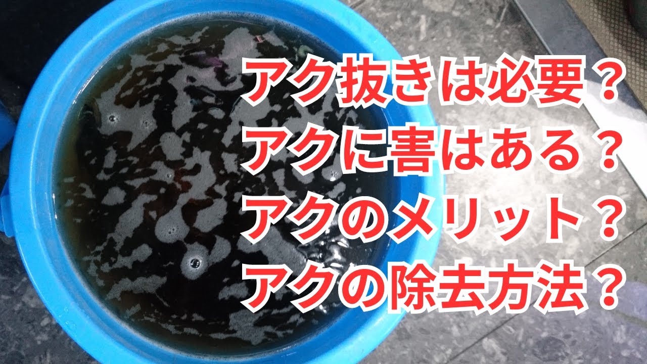 プロが実践的な流木のアク抜きについて詳しく解説！