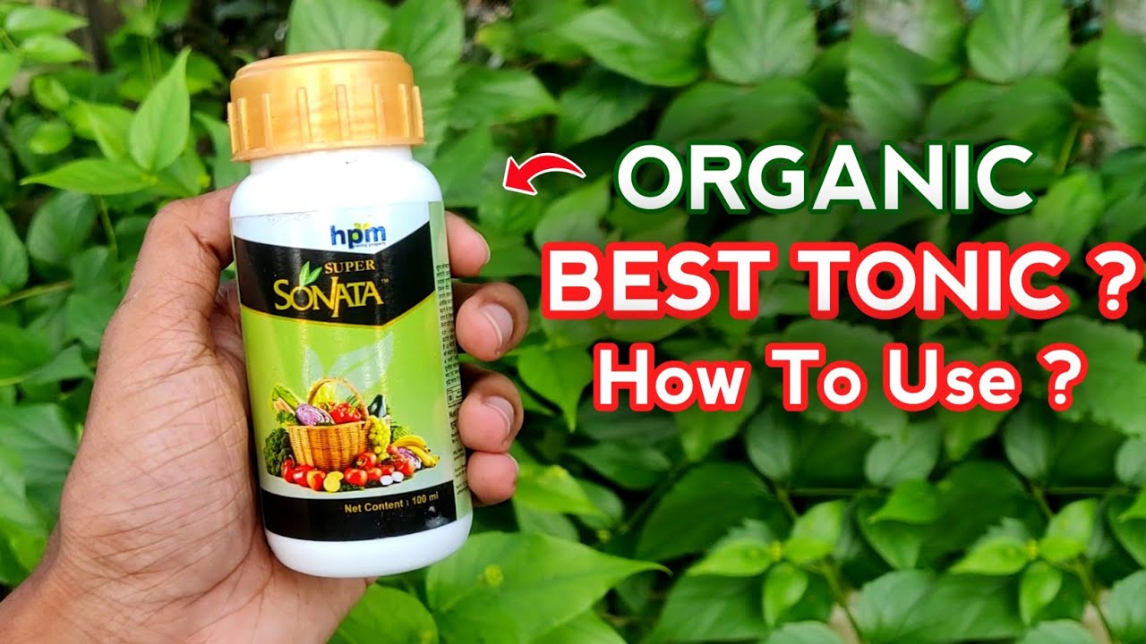 How To Use Super Sonata On Plants (IN HINDI) Hpm Super Sonata | Best Tonic For Plant Growth