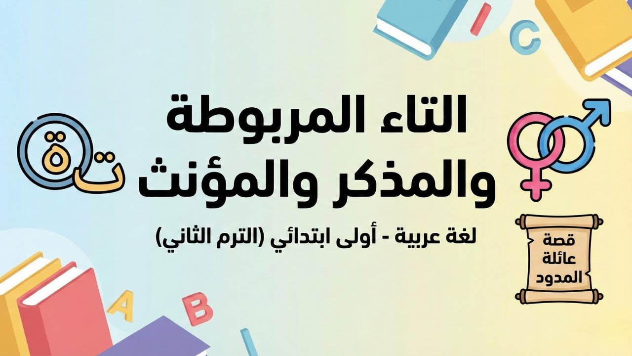 شرح التاء المربوطة والمذكر والمؤنث وتأسيس المدود | منهج الصف الأول الابتدائي ✅