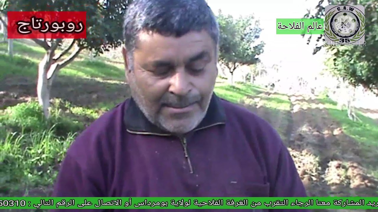 روربورتاج حول أشجار الخروب 🌳🌳قناة عالم الفلاحة للغرفة الفلاحية لولاية بومرداس