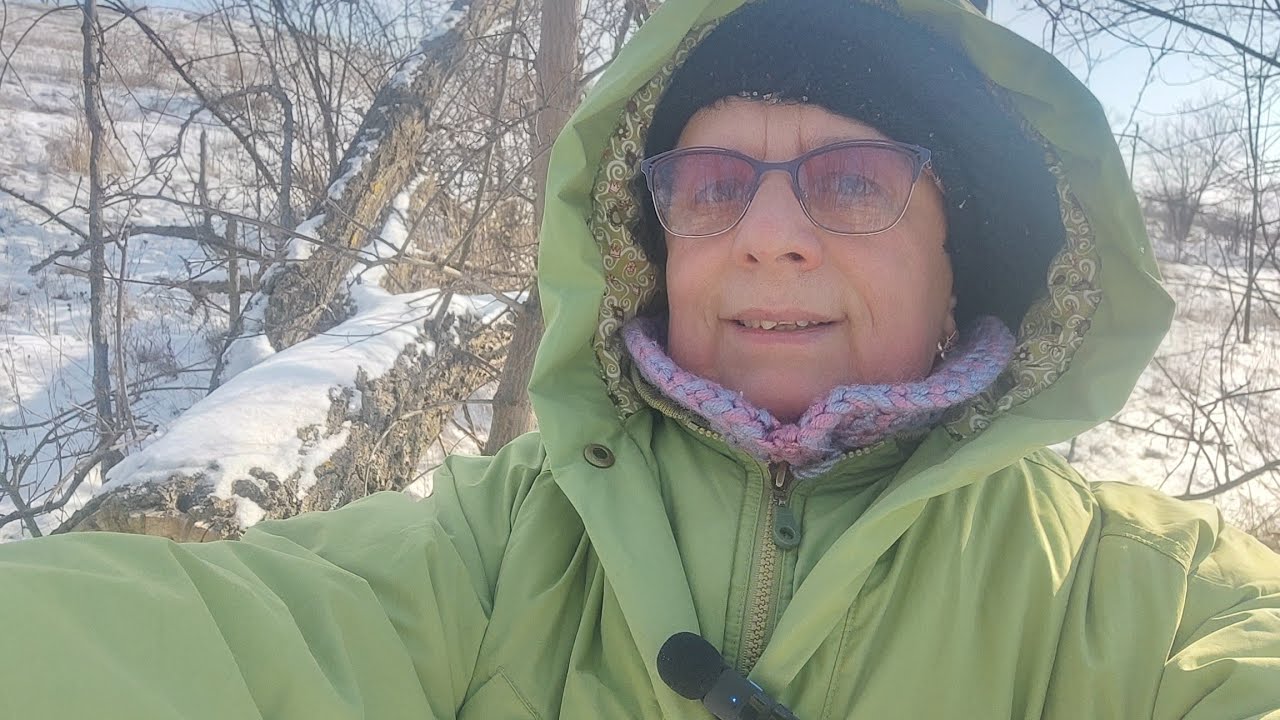 Зимний день на даче: снег, печь и 8 спасённых от голода собак.