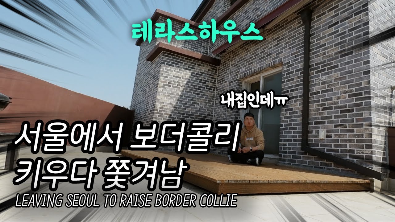 인테리어 과정 | 보더콜리 키우다가 서울에서 쫓겨났어요 | 탈서울 | 인테리어 | 이사 | 테라스하우스 | 테라스인테리어