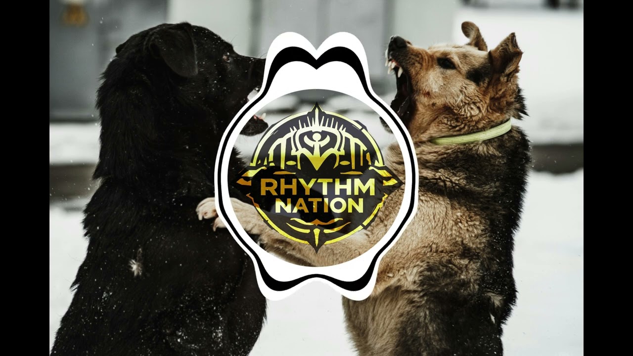Rav Rav &ndash; Dynamic Music Video | Rhythm Nation