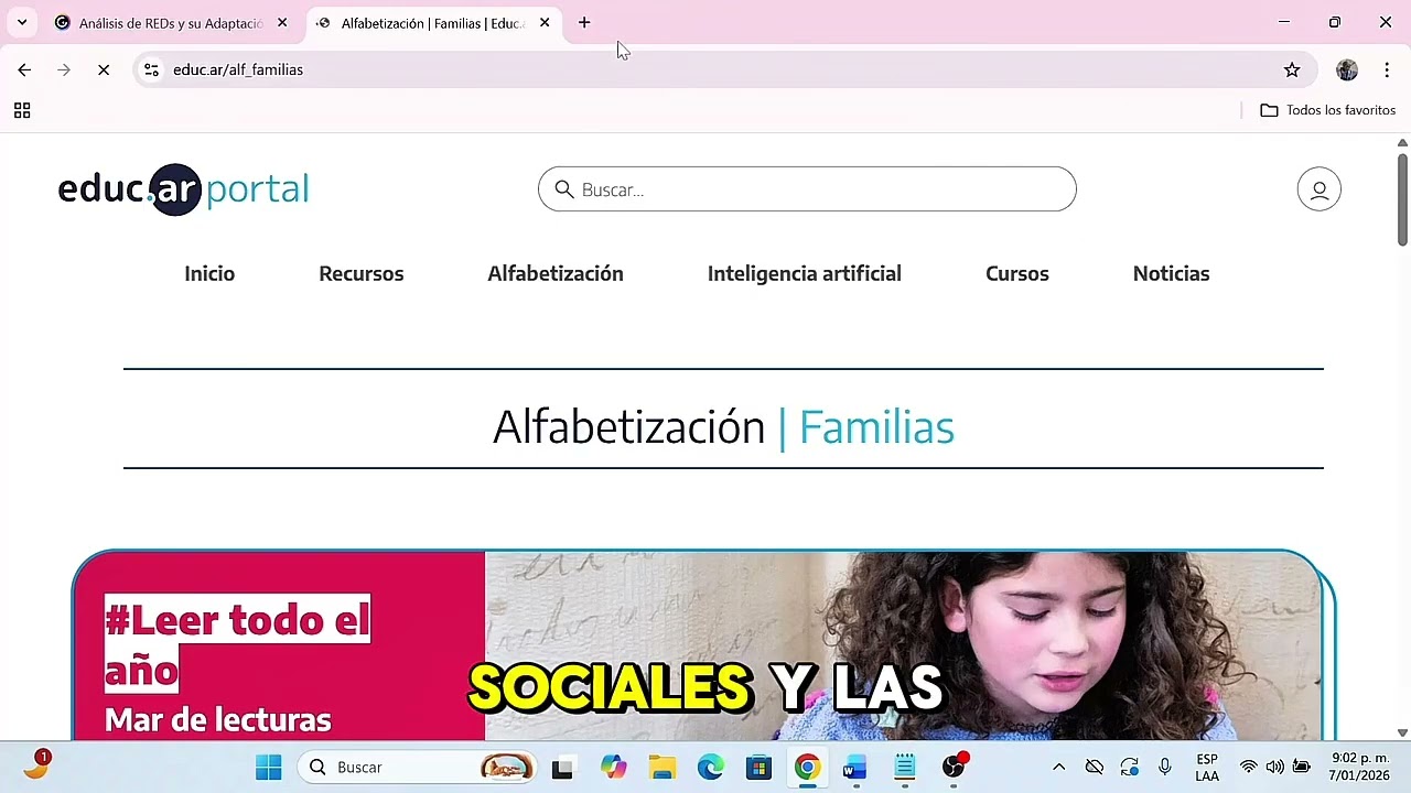 Análisis de REDs y su Adaptación.