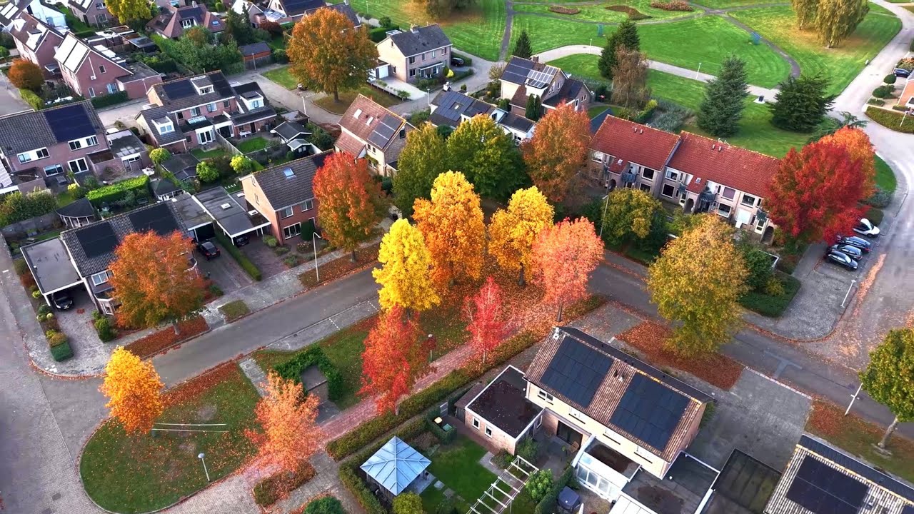 Beautiful fall colors in Ommen - 4k drone shot