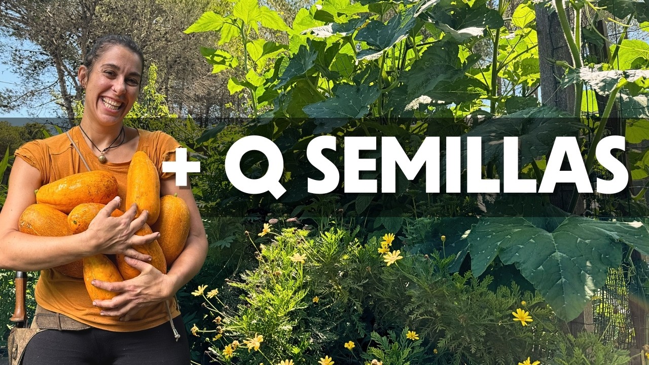 Semillas Huérfanas 🌱 Por qué la agricultura industrial nos vende genética sin vida.