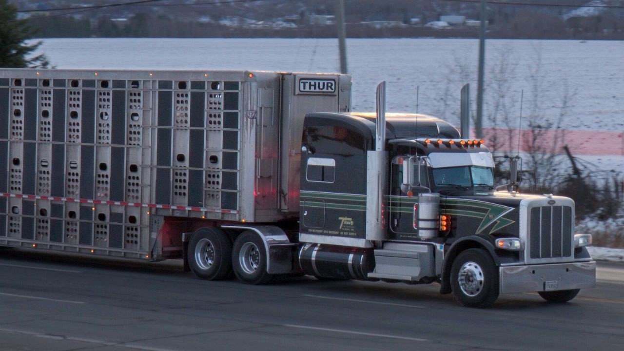 Early Winter Vibes | Truck Spotting in New Liskeard, Northern Ontario