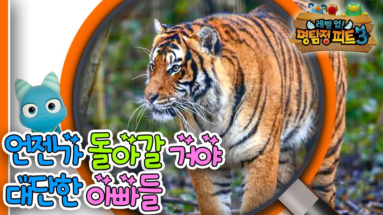 [EBS놀이터] 명탐정 피트3🔎｜언젠가 돌아갈 거야｜대단한 아빠들｜숲 속 수사대｜동물｜식물｜곤충｜애니메이션