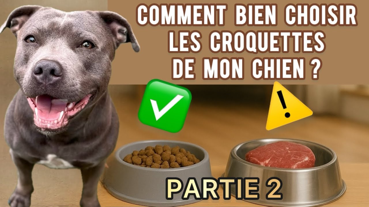 Comment bien choisir les croquettes de mon chien ? Partie 2 : Quelles marques privilégiez 🤔🥓