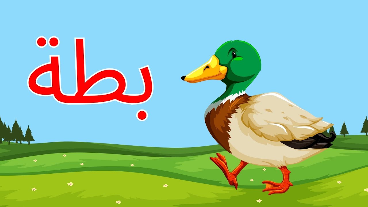 استمتع وتعلم🎉! فيديوهات تعليمية ممتعة للأطفال| تعلم الحروف العربية |الأشكال | الحساب | بث مباشر🔴