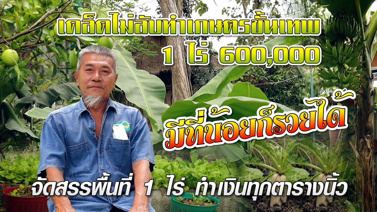 จัดสรรพื้นที่ 1 ไร่ ทำเงินทุกตารางนิ้ว #เกษตรอารมณ์ดี