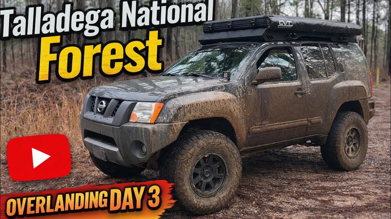 Talladega National Forest - just passing through. 
