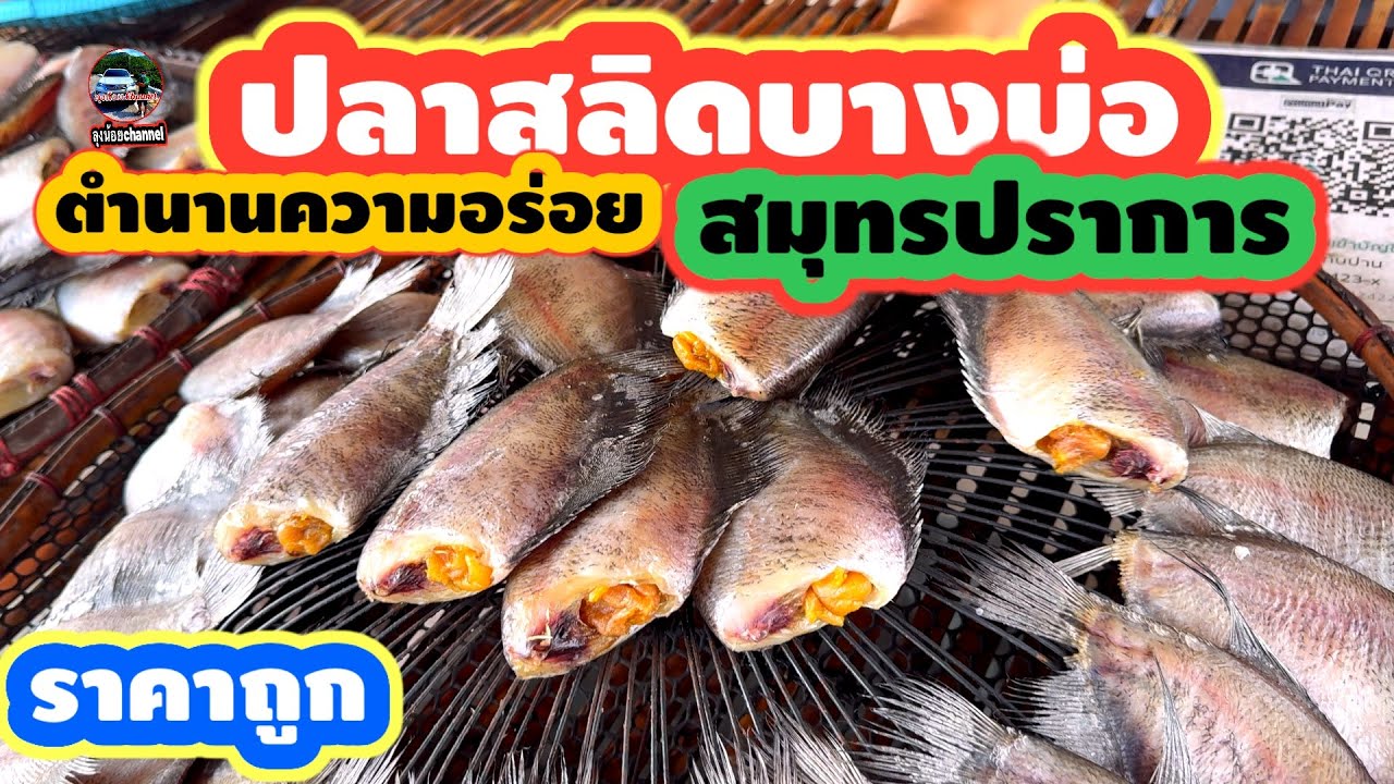 #ปลาสลิดบางบ่อ #สมุทรปราการ #ตำนานความอร่อย #ราคาถูก #ลุงน้อยchannel