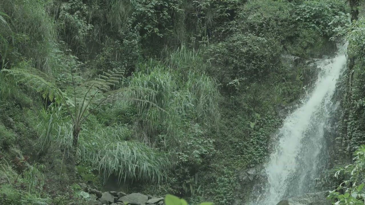 Healing nature sounds of river flow and white noise for anxiety relief
