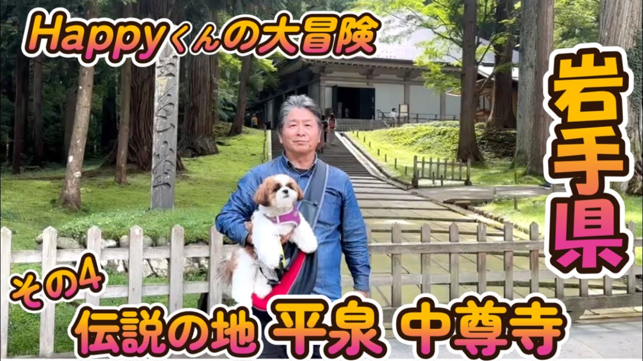[シーズー🐶・くるま旅🚗] Happyくん 平泉 中尊寺参拝